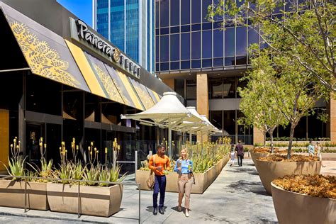 panera bread downtown san diego